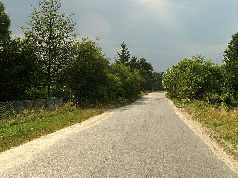 Zdjęcie 11