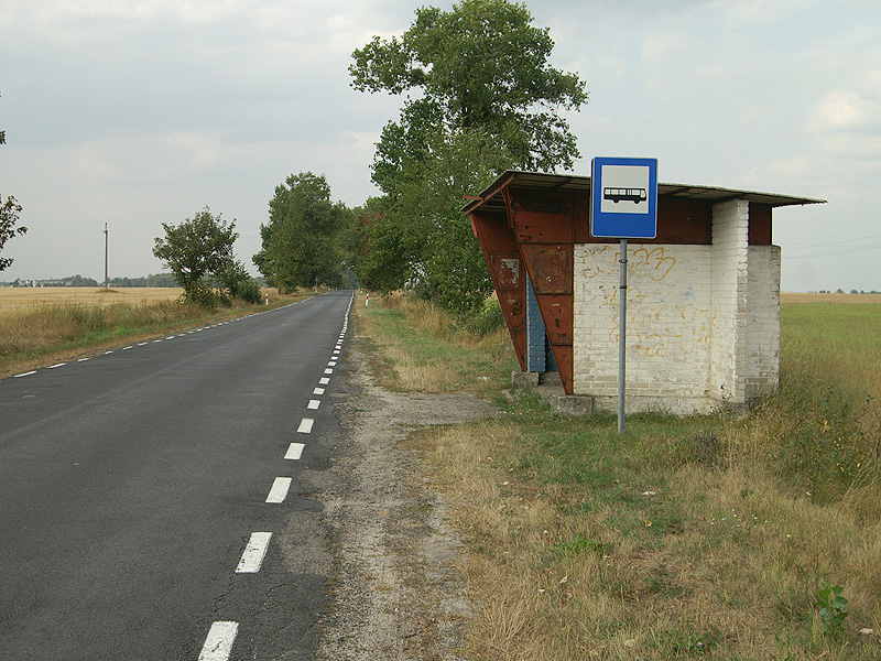Zdjęcie 14