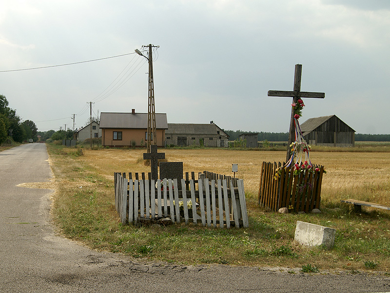Zdjęcie 15
