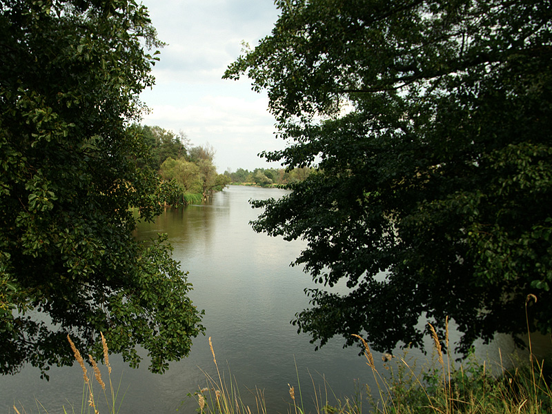 Zdjęcie 18
