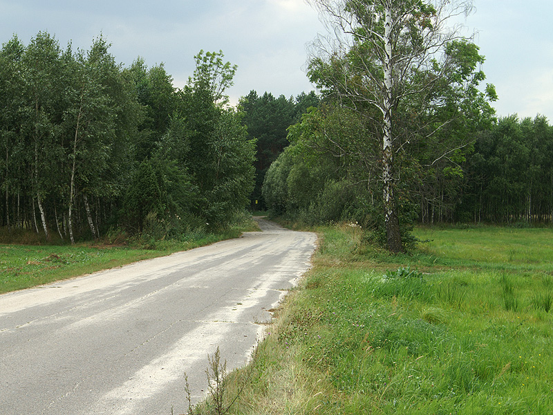 Zdjęcie 19