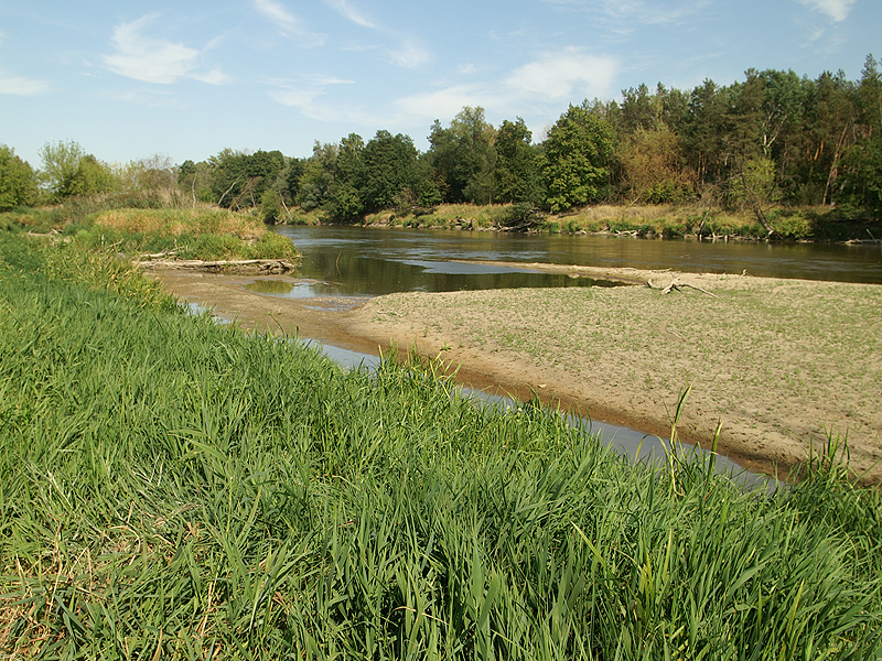 Zdjęcie 22
