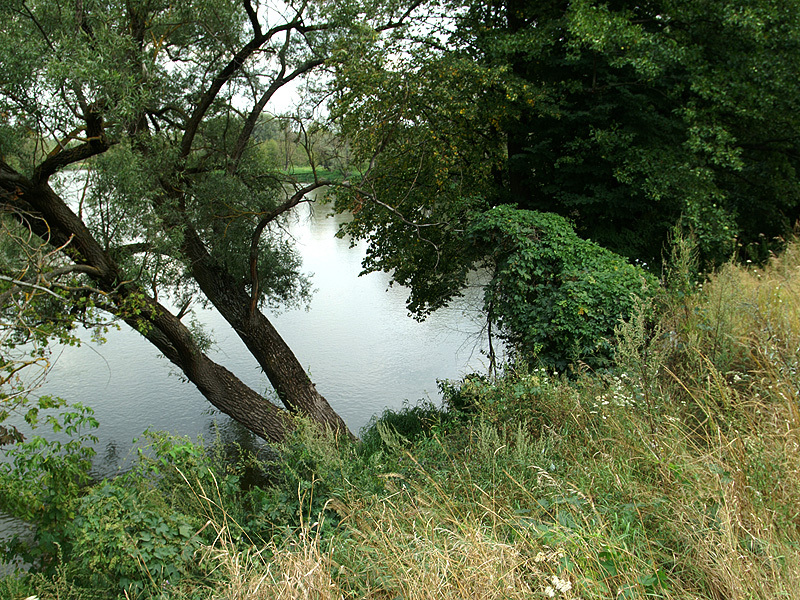 Zdjęcie 5