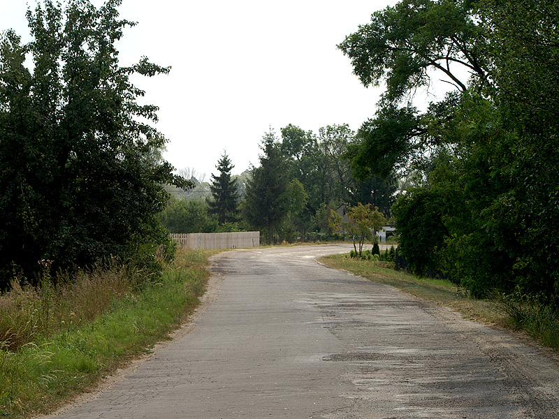 Zdjęcie 6