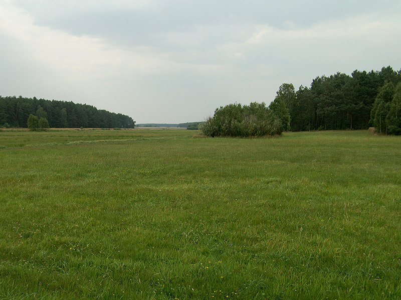 Zdjęcie 8